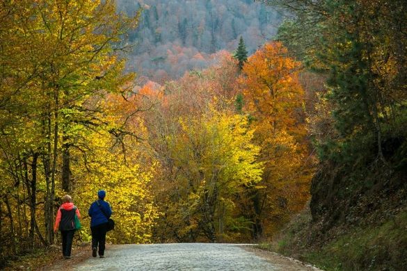 kastamonu - datatur